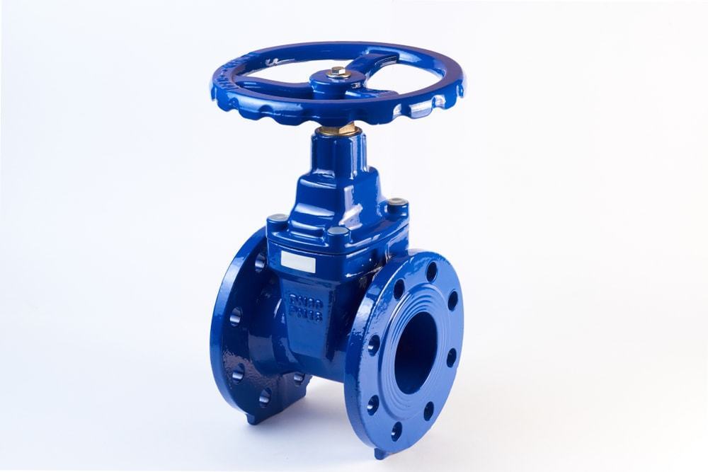 gate valve malaysia